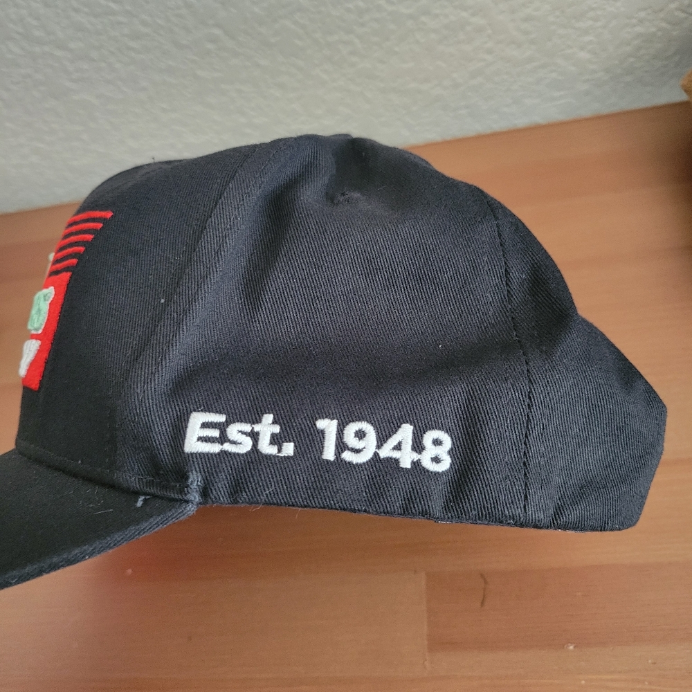 Snapback - Picture 3 of 4